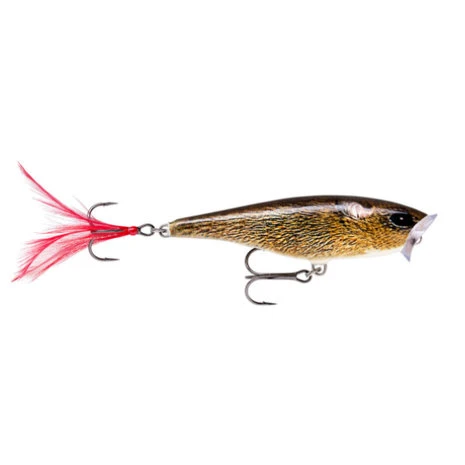 Rapala - Pluggen Skitter Pop Surface Popper - 7cm - 7gr - Afbeelding 3