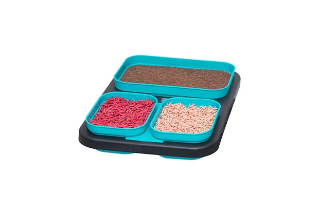 Drennan - DMS 5 Piece Bait Set - Drennan - Afbeelding 5